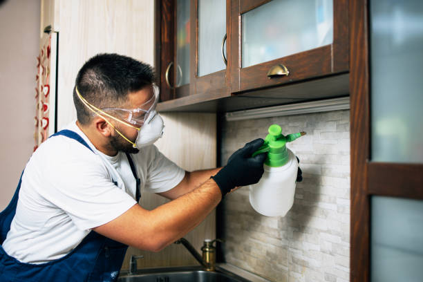 Best Cockroach Control Services  in Clifton, AZ