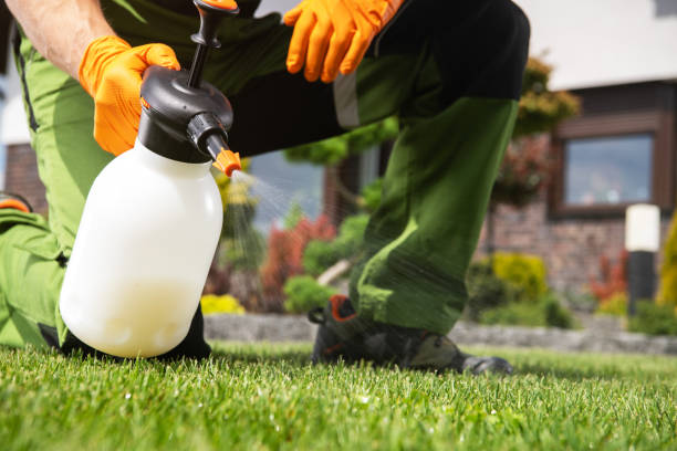 Best Affordable Pest Control Services  in Clifton, AZ
