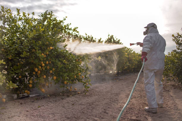 Best Residential Pest Control  in Clifton, AZ