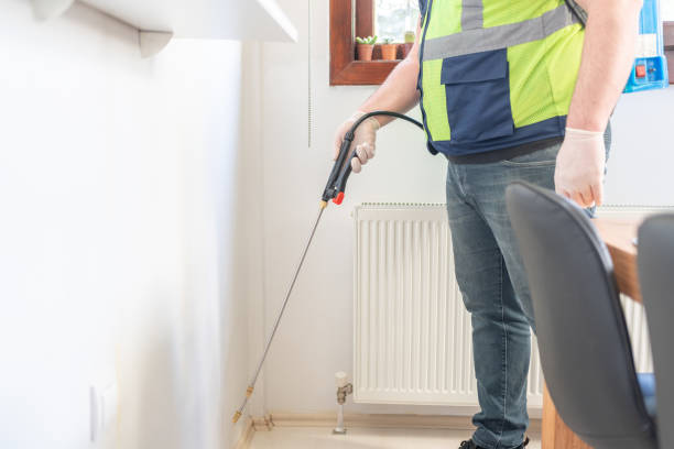 Flea Control Services in Clifton, AZ